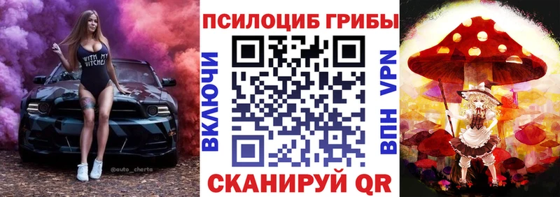 Купить  Стародуб  Псилоцибиновые грибы мицелий 